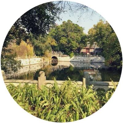 忍界小鬼变态版下载